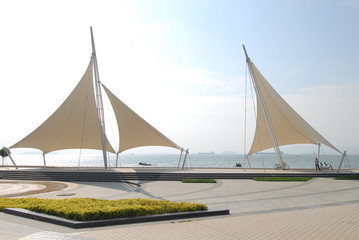 福建农林大学中加合作办学项目介绍