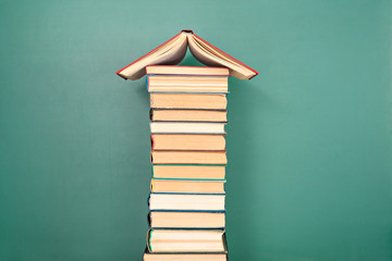 世界地球日是什么节日 地球日的具体概念