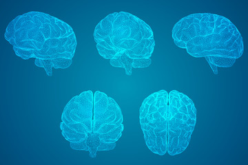 福建农林大学中加合作办学项目介绍