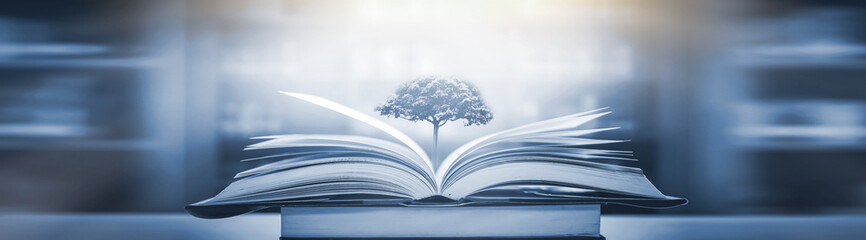 水母有哪些器官