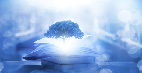 解决手机卡顿设置 四种简单操作