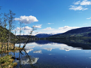 解决手机卡顿设置 四种简单操作