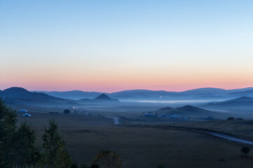 水母有哪些器官