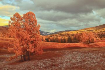 福建农林大学中加合作办学项目介绍