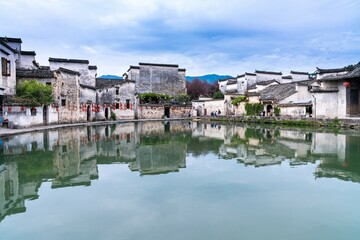 水母有哪些器官